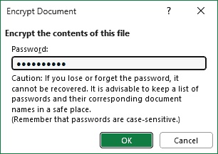 password protect an excel file on windows