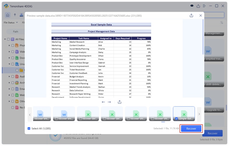 preview and recover the file