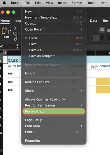 protect an excel file with a password on mac