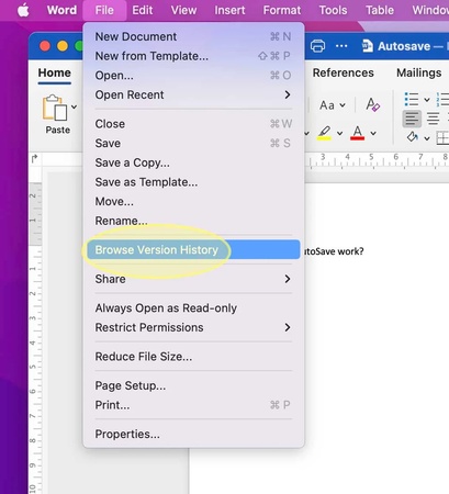 click browse version history on word document