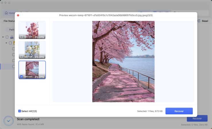 preview the files and hit recover