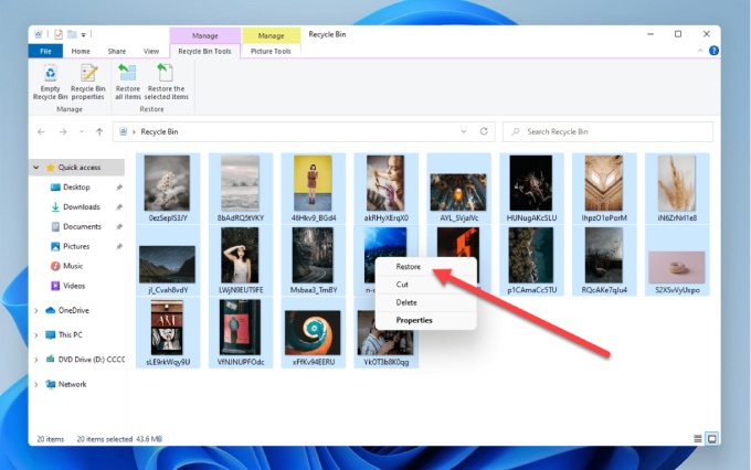 restore the deleted files from windows recycle bin