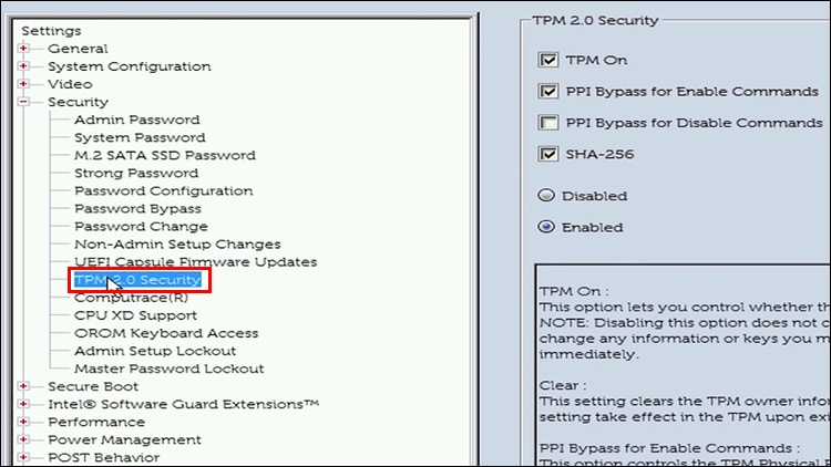 enable tpm and secure boot