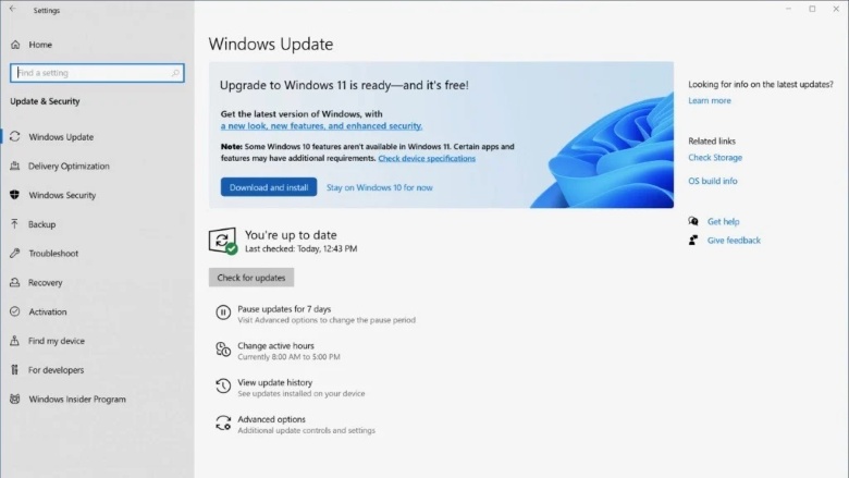 upgrade to windows 11 via windows update